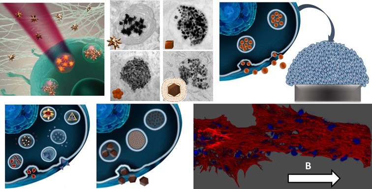 nanomagnétisme